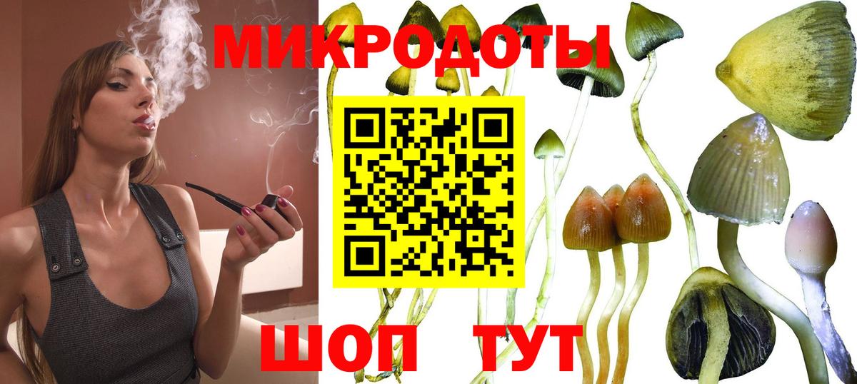 Псилоцибиновые грибы GOLDEN TEACHER Уссурийск